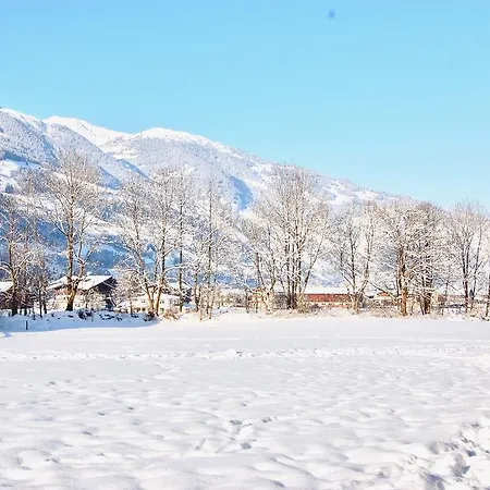 Apartman Leni